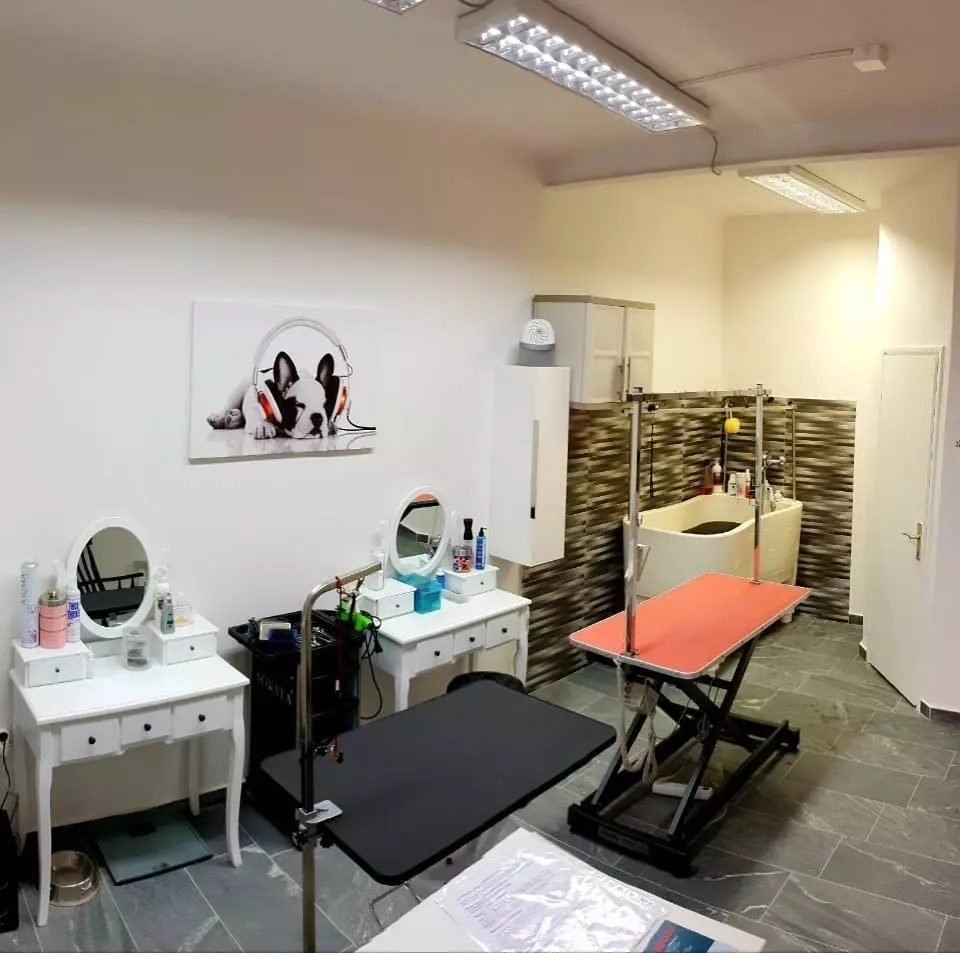 kupanje pasa Šišanje pasa, Viškovo