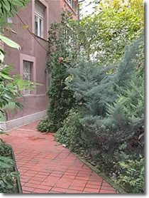 supernova22222 supernova22222