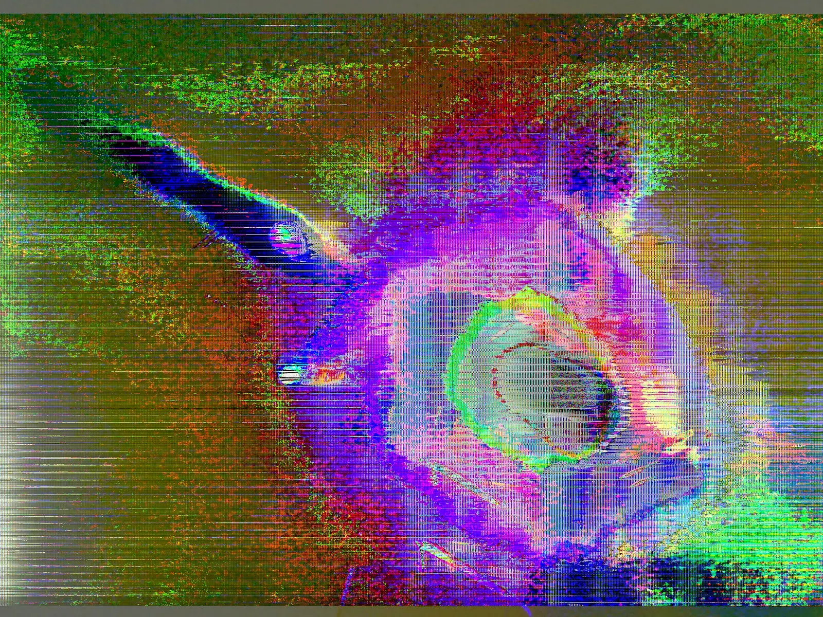 termoscan1 termoscan1