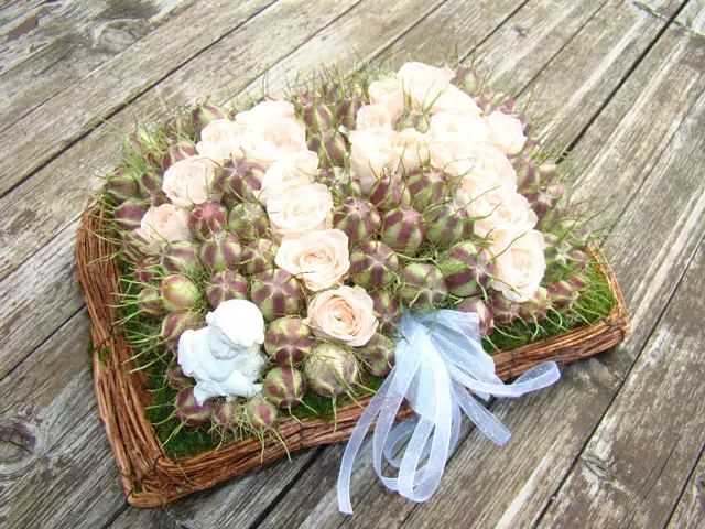 tkalcevic11 tkalcevic11