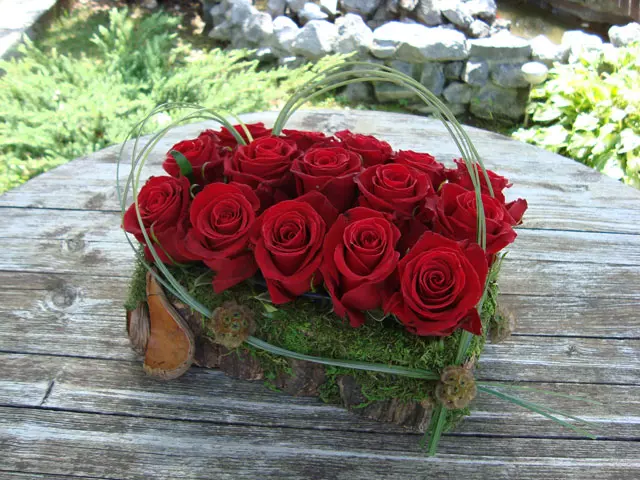 tkalcevic22 tkalcevic22