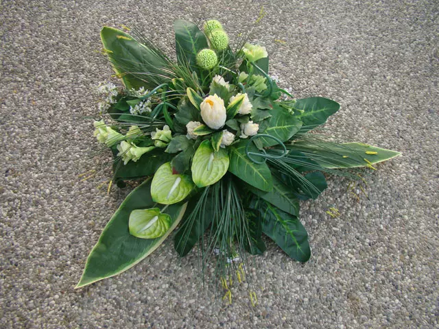 tkalcevic33 tkalcevic33