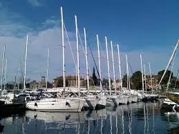 transferi_baby1 transferi_baby1