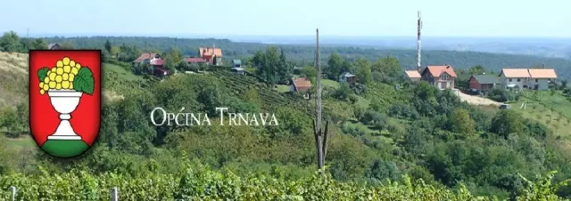 Jedinica lokalne uprave i samouprave, Općina Trnava