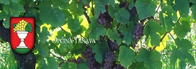 Poljoprivreda i stočarstvo Trnava, RH