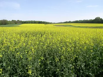 uzgojžitaricaviljevo1