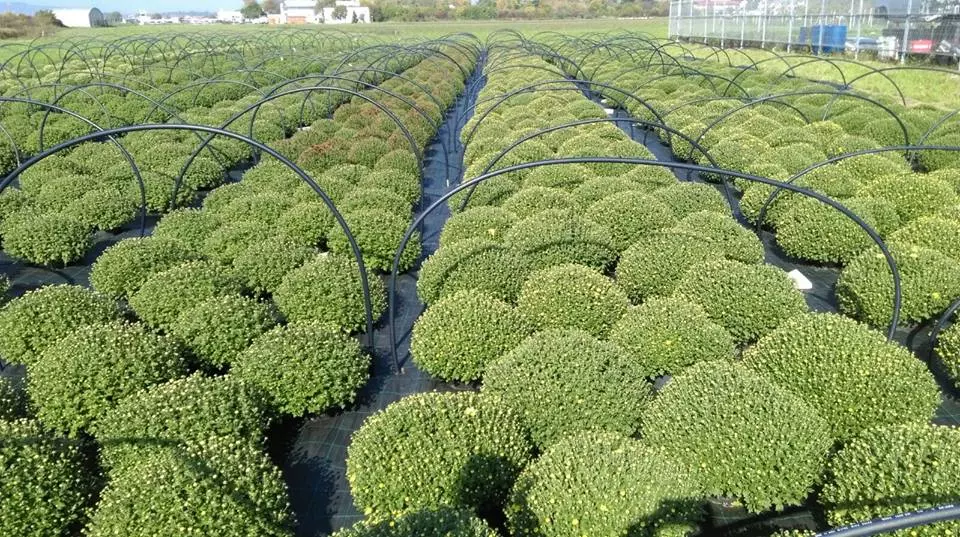 veliki_broj_zadovoljnih_kupaca_Hrvatske