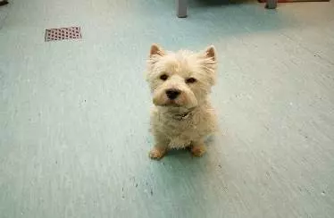 veterinarska_koprivnica2