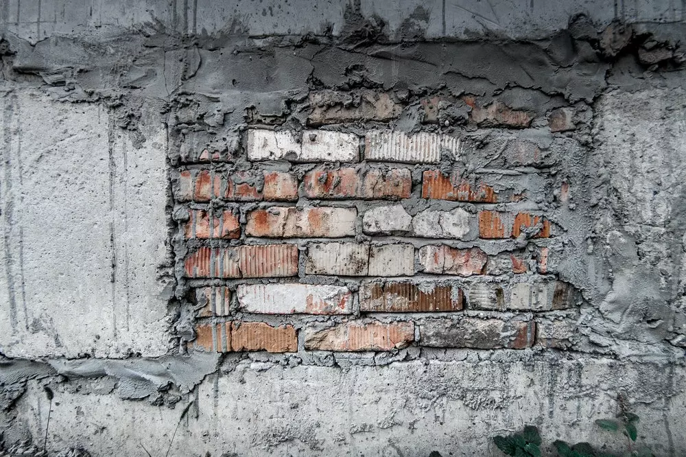 vrhunskožbukanje vrhunskožbukanje