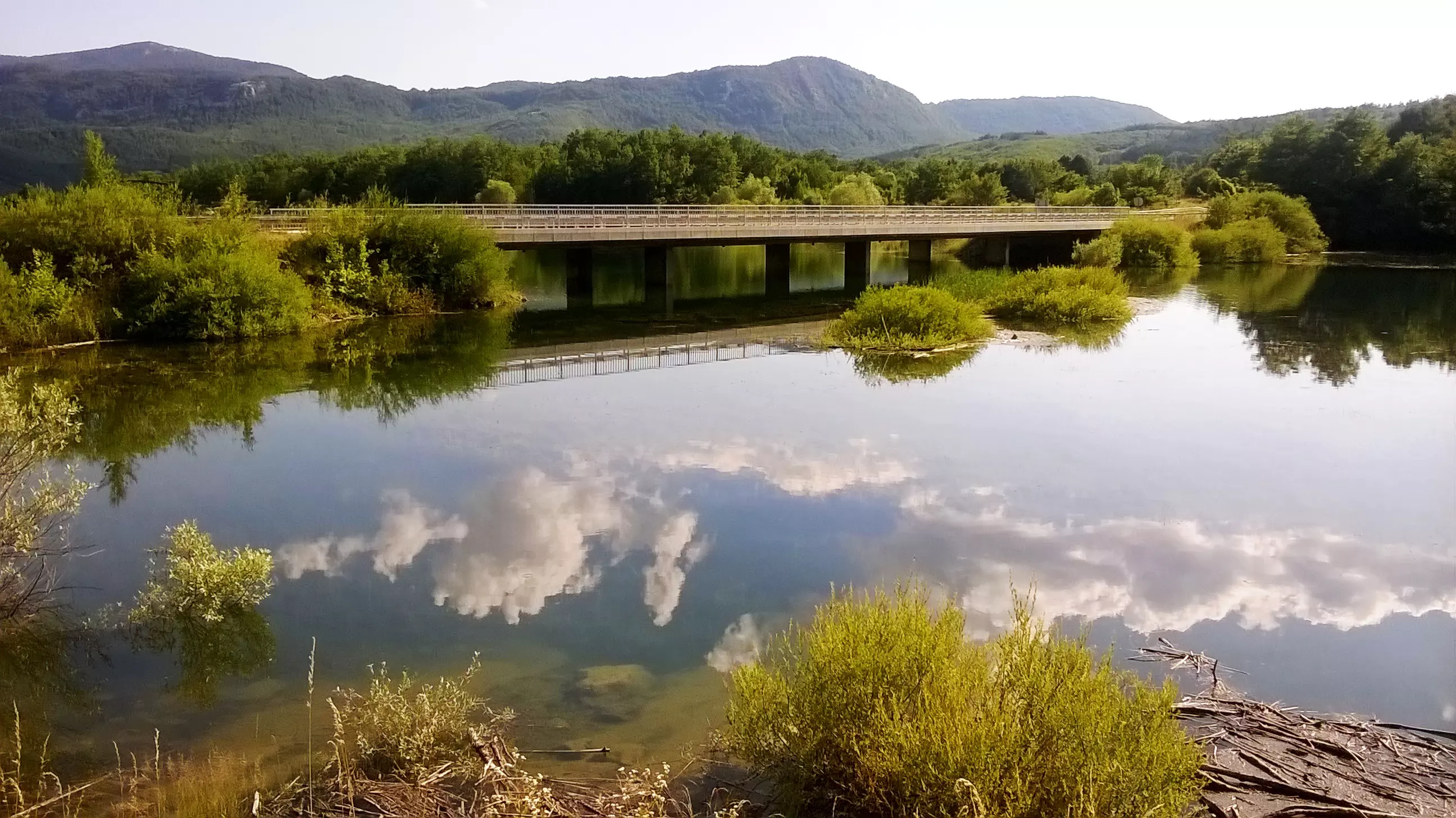 vuk_lov111 vuk_lov111