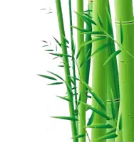 KINESKI RESTORAN BAMBUS GARDEN