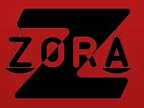 KNJIGOVODSTVENI SERVIS ZORA D.O.O.