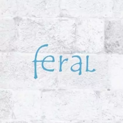 KONOBA FERAL