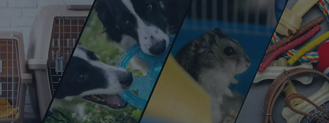 Kućni ljubimci i oprema