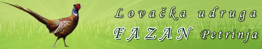 LOVAČKA UDRUGA FAZAN PETRINJA