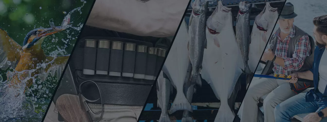 Lov i ribolov - oprema i pribor