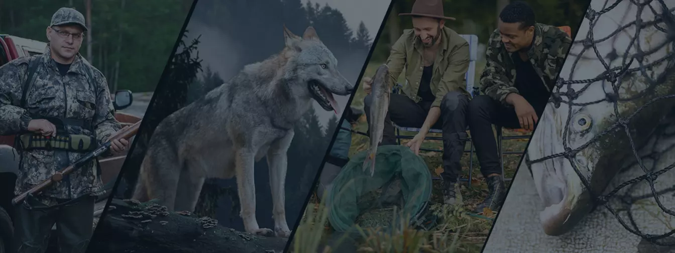 Lov i ribolov - oprema i pribor