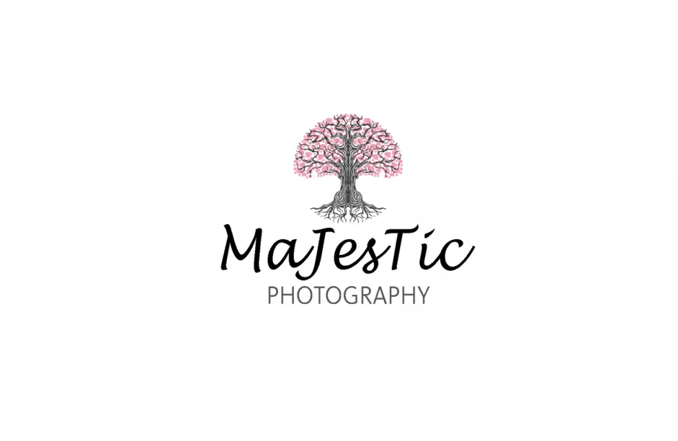 MAJESTIC PHOTOGRAPHY