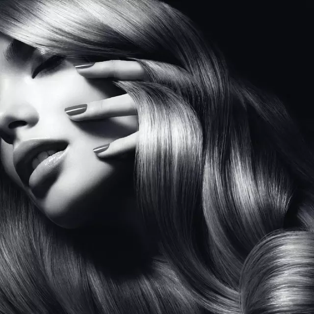 STYLE FACTORY J.D.O.O.