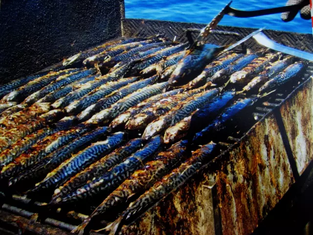 OBRT ZA RIBARSTVO I UGOSTITELJSTVO SONTELE, VL. IVO LOVRIĆ