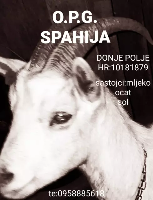 OPG DINKA SPAHIJA