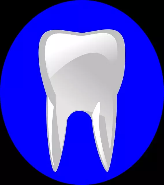 ORDINACIJA DENTALNE MEDICINE DR. MED. DENT MARIJANA VIDOVIĆ