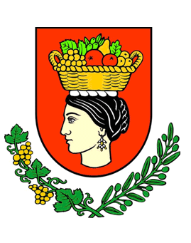 OPĆINA ŽUPA DUBROVAČKA