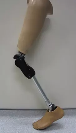 POŠĆIĆ DENT D.O.O.