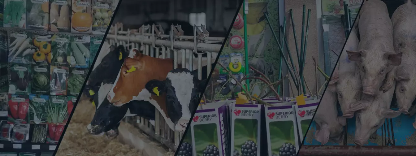 Poljoprivredne ljekarne i stočna hrana