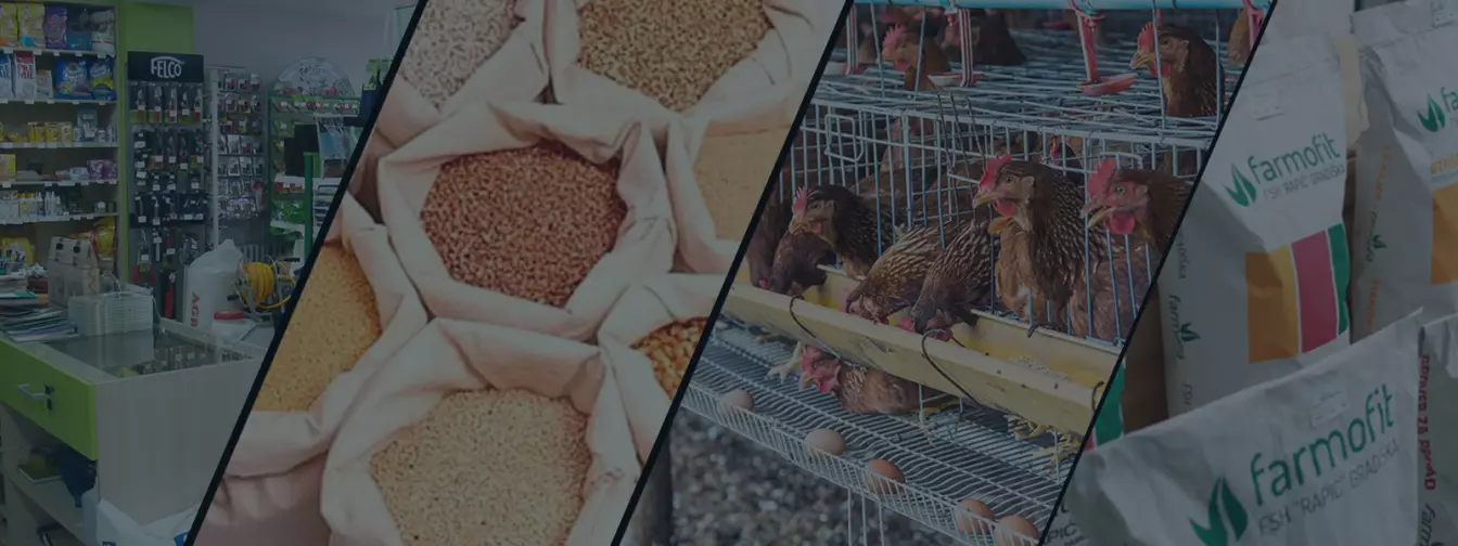 Poljoprivredne ljekarne i stočna hrana