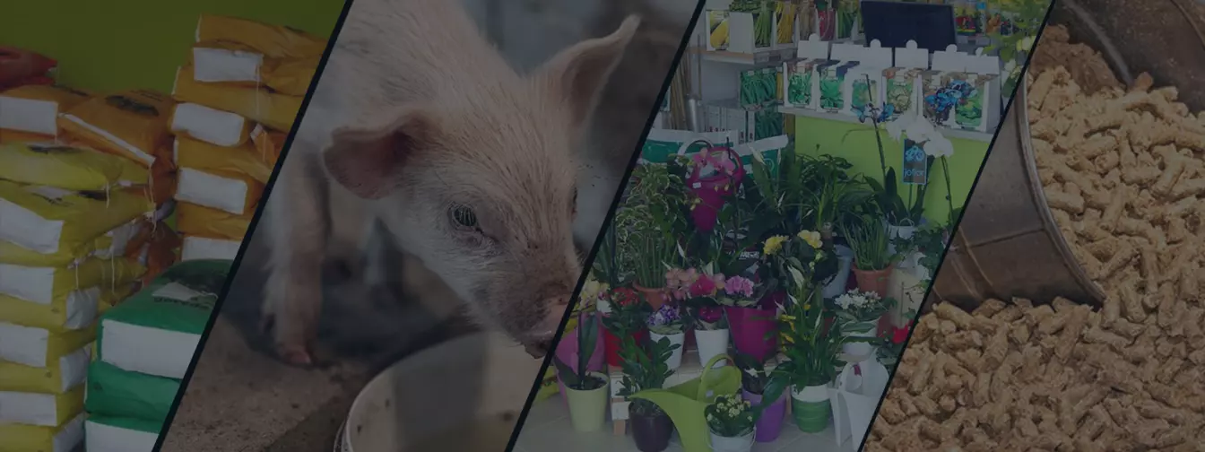 Poljoprivredne ljekarne i stočna hrana