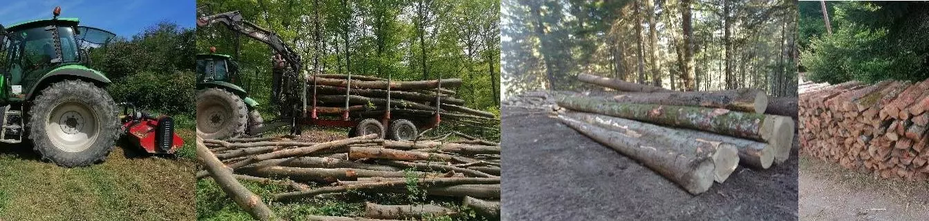 PRIGORSKE ŠUME j.d.o.o.