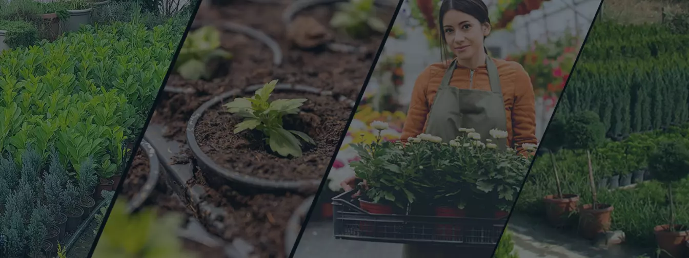 Rasadnici i vrtni centri