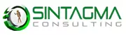 SINTAGMA CONSULTING D.O.O.