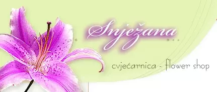 SNJEŽANA, CVJEĆARSKO-ARANŽERSKI I TRGOVAČKI OBRT, VL. SNJEŽANA STIPČEVIĆ