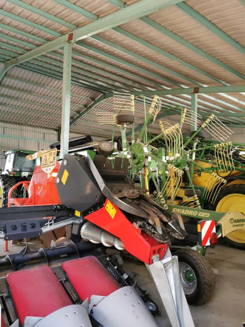 SNK MILK (FARMA) 5.jpg