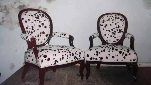 TAPETAR ZAGREB | NINO KUHARIĆ