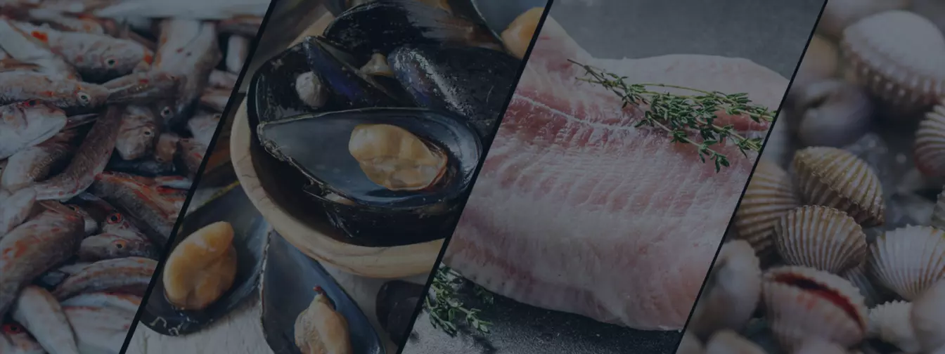 Uzgoj riba i školjaka