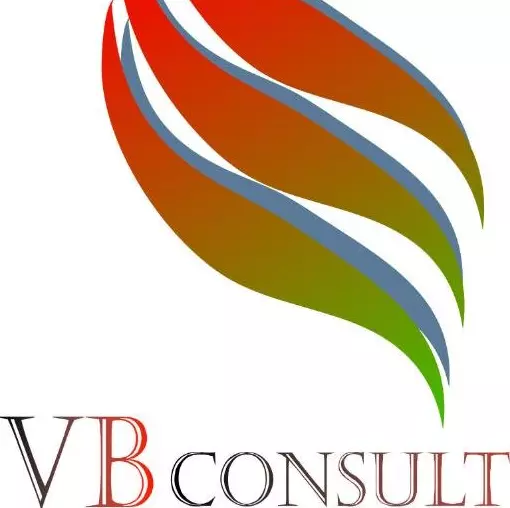 VB CONSULT