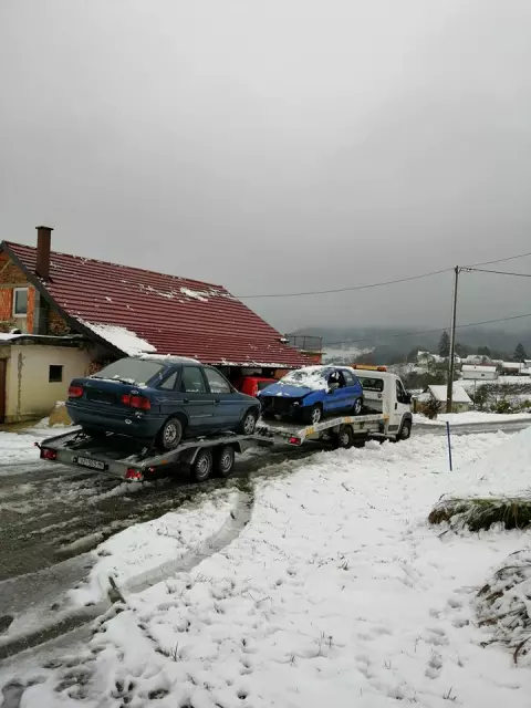 Vučna služba Novi Marof, Hrvatska 11.jpg