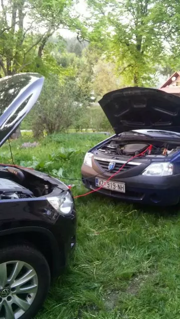 Vučna služba Novi Marof, Hrvatska 3.jpg