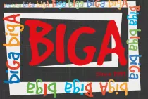 BIGA D.O.O.