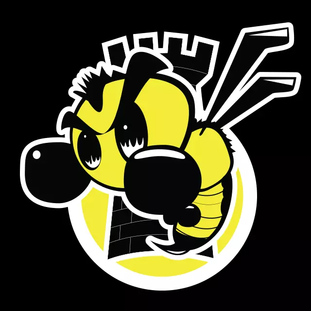 HORNET BOXING GYM