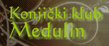 KONJIČKI KLUB MEDULIN