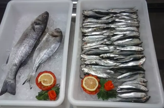 Restoran istarske kuhinje grad Pula