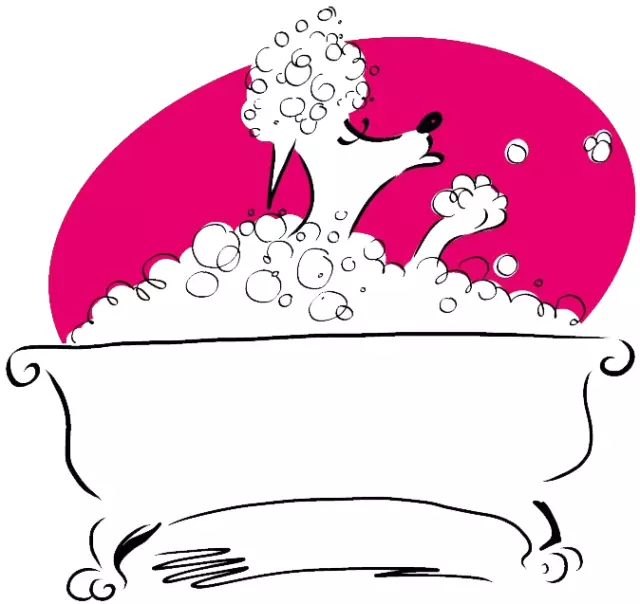 MAYA GROOMING, OBRT ZA ULJEPŠAVANJE KUĆNIH LJUBIMACA