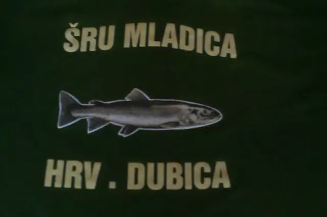 ŠRU MLADICA HRVATSKA DUBICA