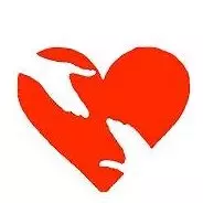 UDRUGA "NOVI POČETAK"