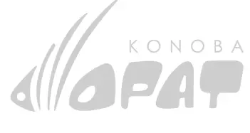 UGOSTITELJSKI OBRT OPAT