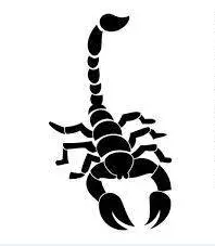 TAEKWONDO KLUB ŠKORPION